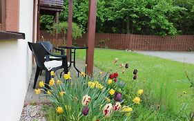 Apartament Kolorowy pod Śnieżką